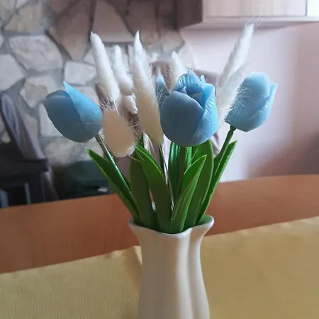 Alina *